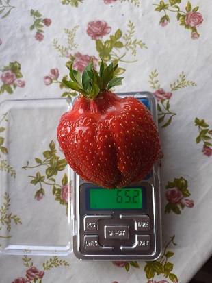 20230627_180915.jpg.0248bed0dc2874a0a2a158bb2d57efba.jpg