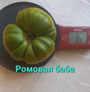 20230721_085521.thumb.jpg.bf9923f579bdec61dac78bce8ca35587.jpg