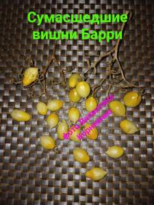 изображение_viber_2024-01-29_22-02-05-304.jpg