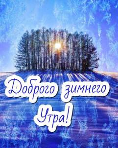 IMG-20240108-WA0013.jpg