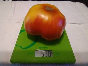 IMG_20210812_192339.thumb.jpg.4130b7317cd4ae192d20b7cbf45300f0.jpg