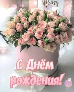 1768073431_.thumb.jpeg.dc37418ae9c6225def00f8212c9c7667.jpeg