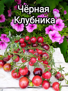 43fb-5aa8-9ffd-e6f8.thumb.png.8fc06e59a5f45959eeb8297f1e59e5f4.png