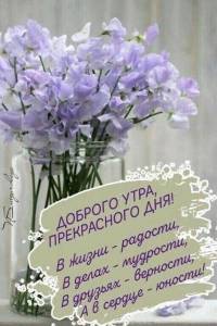IMG-20240211-WA0016.jpg