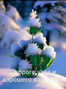 IMG-20240212-WA0001.jpg
