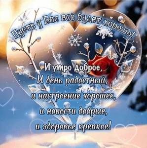 IMG-20240212-WA0010.jpg