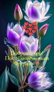 IMG-20240227-WA0003.jpg