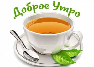 IMG-20240227-WA0007.jpg
