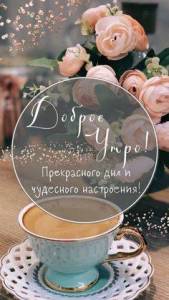 IMG-20240228-WA0000.jpg