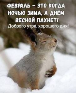 IMG_20240207_191612_011.jpg
