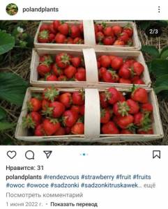 Screenshot_20240206_172915_Instagram.jpg