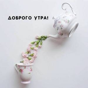 dobrogoutra_ru_3776.jpg