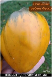 image.thumb.png.33f973761640347d64f6719ad194722f.png