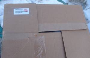 img1709111526919.thumb.jpg.90b5bd5b999d6e18f46930cc05333ff1.jpg