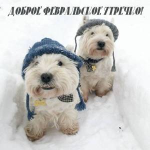otkritkis_ru_fevral_du_13.thumb.jpg.27bf525a1db353b7ee4665bb6fd4b64a.jpg