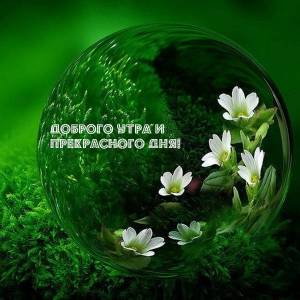 utradobrogo_ru_9634.jpg