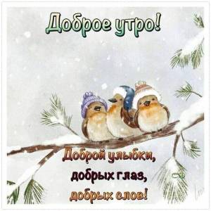1684712999_lubok-club-p-kartinki-s-dobrim-utrom-zimnie-s-ptichkami-14.jpg