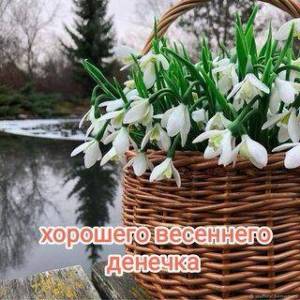 IMG-20240302-WA0024.jpg