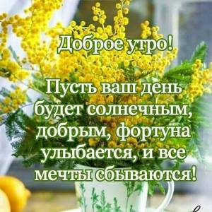 IMG-20240306-WA0005.jpg
