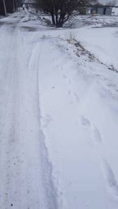 IMG-20240319-WA0008.jpeg