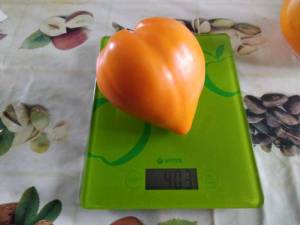 IMG_20210806_142528.thumb.jpg.c4ba9d3aa0ff66d2f5edaa8a83de5861.jpg