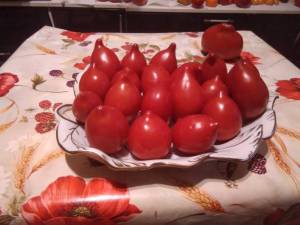 IMG_20210831_223316.thumb.jpg.48430fdb56018b0778e92746c1e640e2.jpg