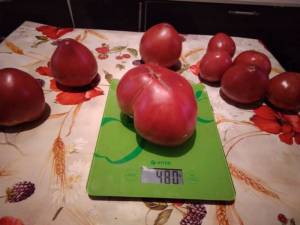 IMG_20210903_125616.thumb.jpg.0022fe642ef83593970ba0682fae521e.jpg