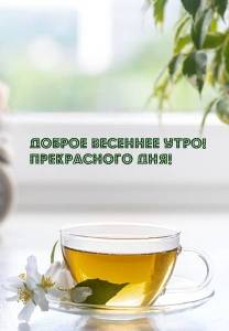 dobrogoutra_ru_109.jpg