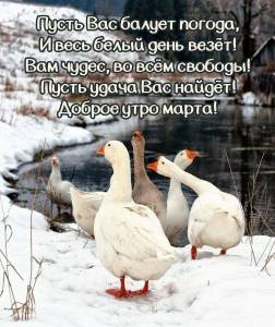 dobrogoutra_ru_6911.jpg