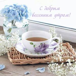 dobrogoutra_ru_7338.thumb.jpg.c88d8a789cb20c3f4204dedf49ade064.jpg