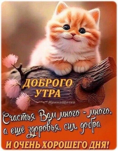 image.thumb.png.1a85900ed8e11ad589d8c78f275ddcb4.png