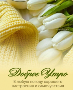 image.thumb.png.881f16f814fa06589c04059537438199.png