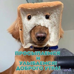 image.thumb.png.d497c91d4b975d90c67769c3cba1daf8.png