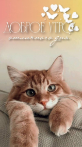 image.thumb.png.ec323d9cc7700d5f2e1b6a633ef0545e.png