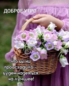 2e2f93b528563bd4f7965afdef6dc102.jpg