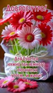 IMG-20240422-WA0003.jpg