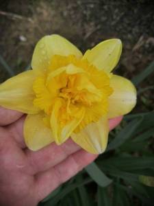 IMG_20240423_122247_compress36.jpg