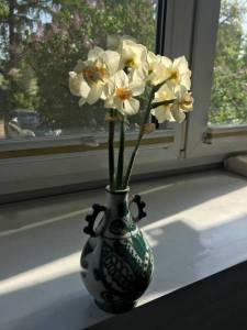 IMG_3767.thumb.jpeg.70d3a018d4e178aab3c67428b0028af5.jpeg