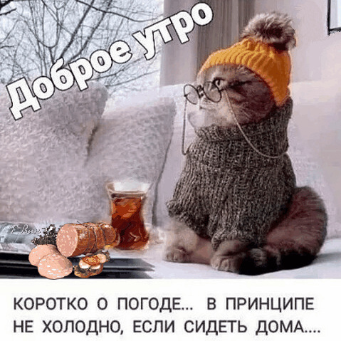 winter-morning-birds.gif