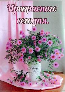 1925220699_WhatsApp2024-05-2409_13.51_86892fc9.thumb.jpg.1aac0111b2248cdb6015df5792c45de0.jpg