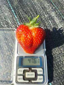 20240523_090655.jpg