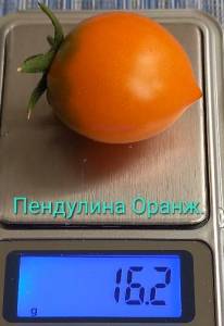 20240531_101035.jpg