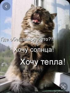 2705BD5F-0E36-4C94-A454-E1ACF9E47471.thumb.jpeg.f708474ae16a9a2dbfa0093b98d1e131.jpeg