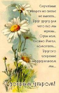 5b0771ba6ad5803aee2b2d6997e13ee4.jpg