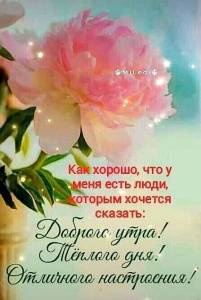 IMG-20240523-WA0018.jpg