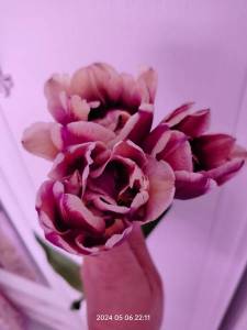 IMG20240506221136.jpg