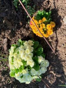 IMG_1238.jpeg