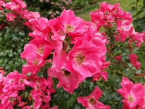 IMG_20230812_102816.thumb.jpg.d3d54fe228d7bfc4ef4f54e63bd24bec.jpg
