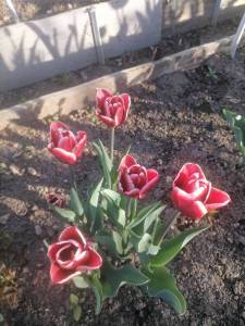 IMG_20240501_181907.jpg