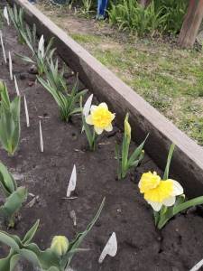 IMG_20240509_200016.jpg